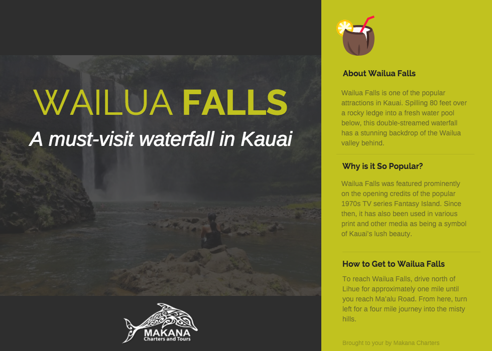 Wailua Falls Infographic
