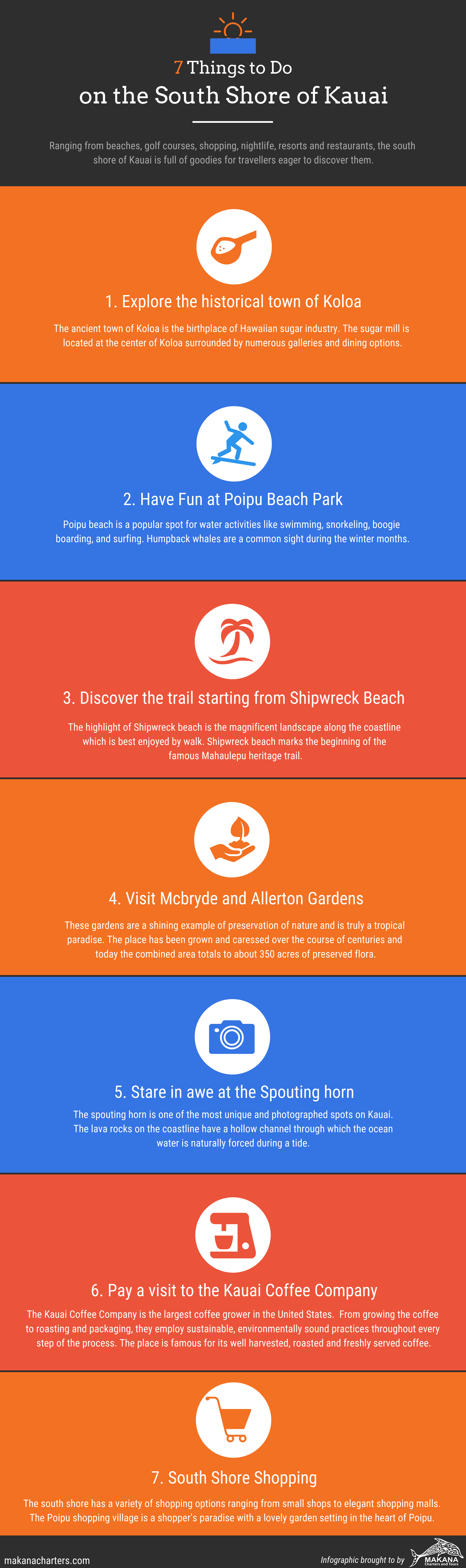 Things to do on South Shore of Kauai - Infographic