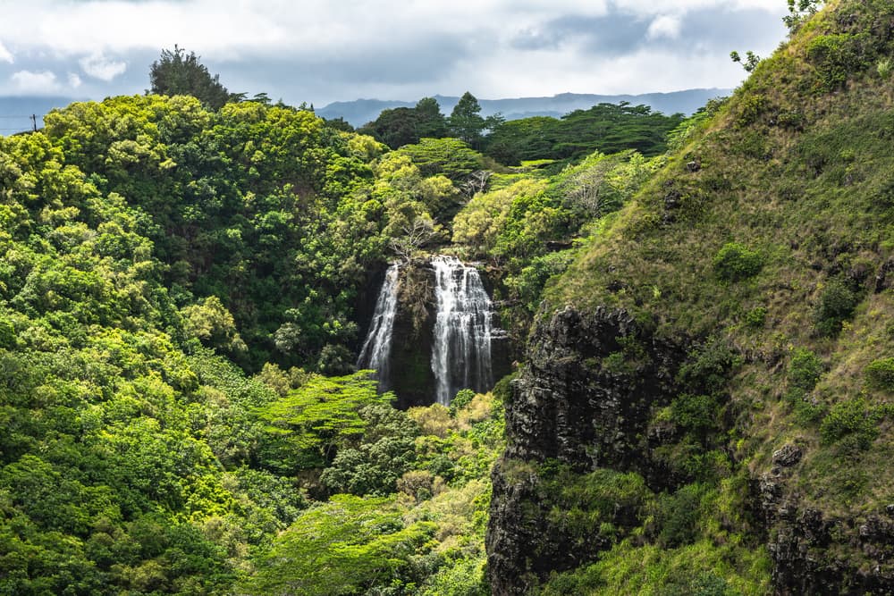 Opaekaa Falls - One of Kauai’s Most Easily Accessible Waterfalls