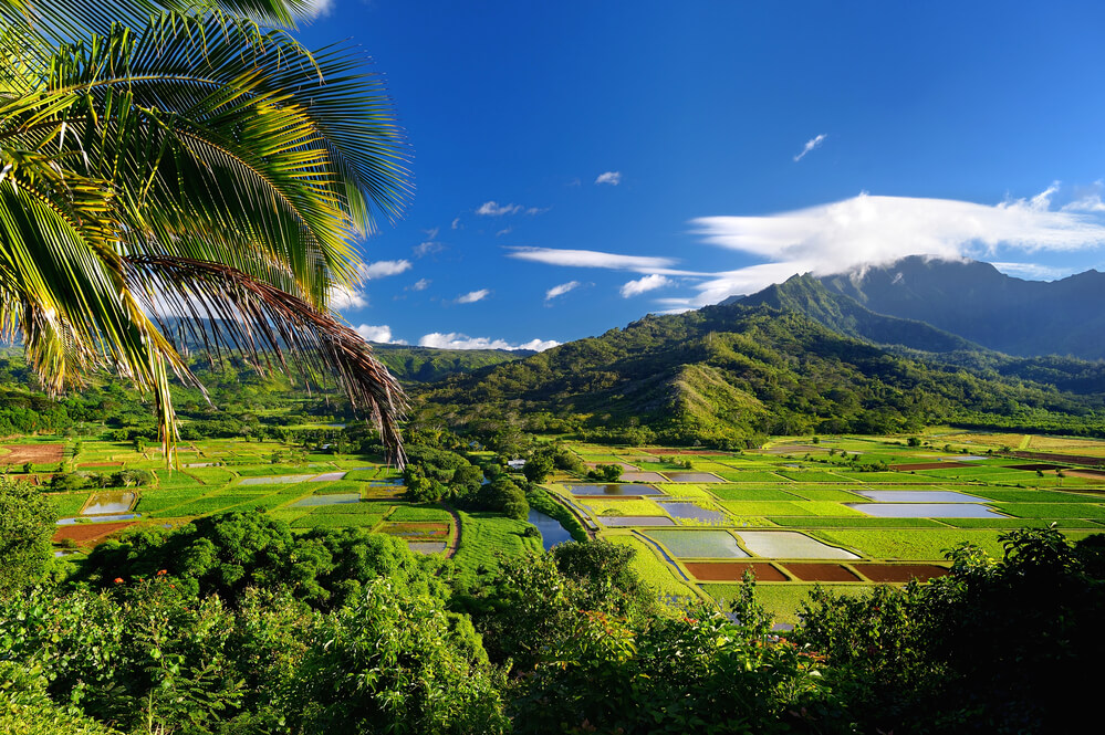 Why Choose Kauai Over Other Hawaiian Islands?