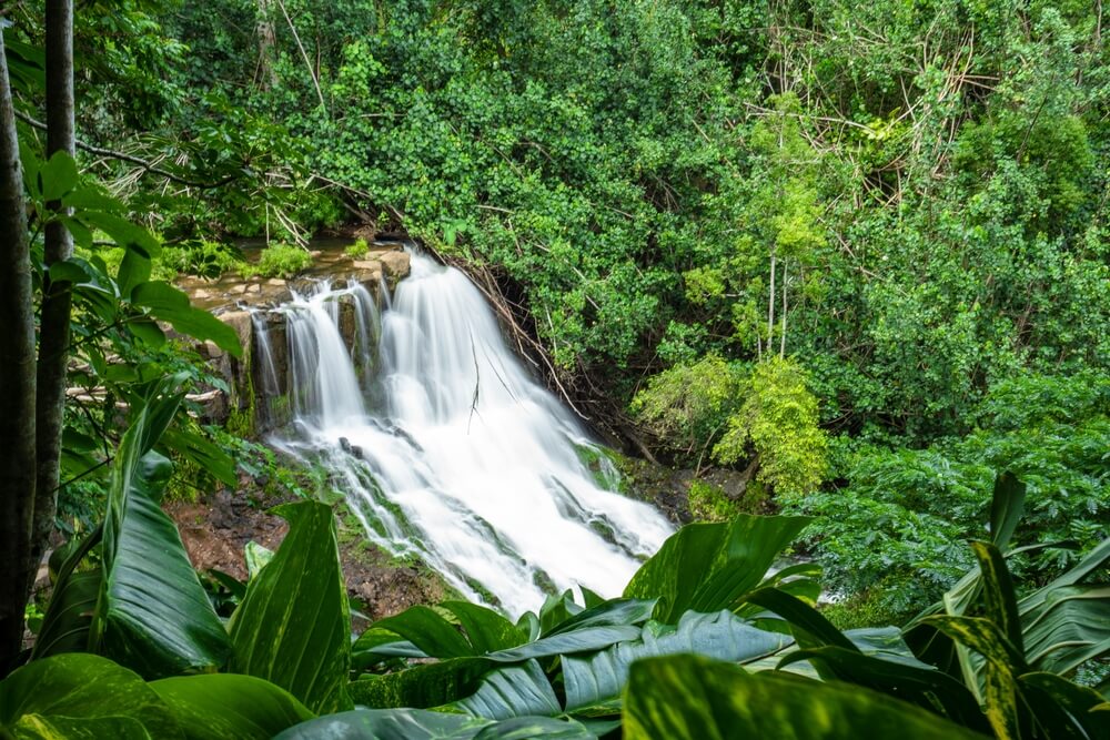8 Things To Do In Kauai This Fall