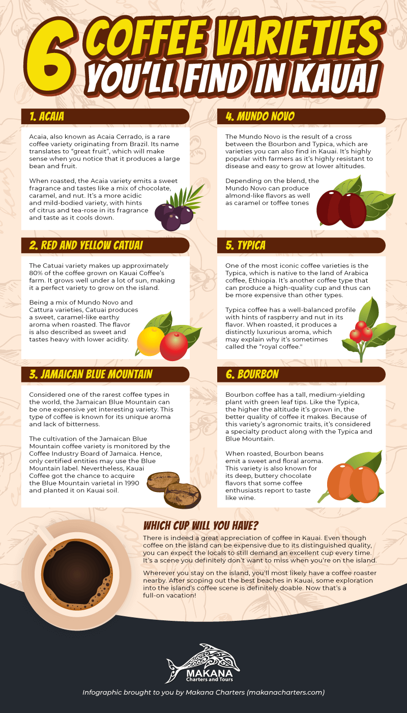 6 Coffee Varieties You’ll Find in Kauai [Infographic]