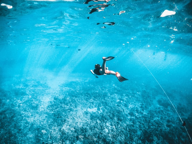 Snorkeling for Beginners: What to Bring, What to Remember